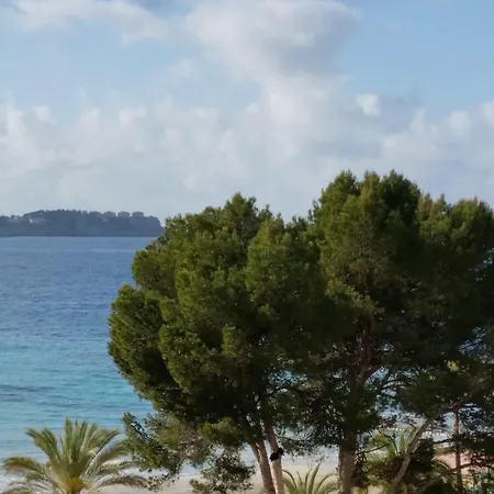 Hotel Creta Paguera 3*